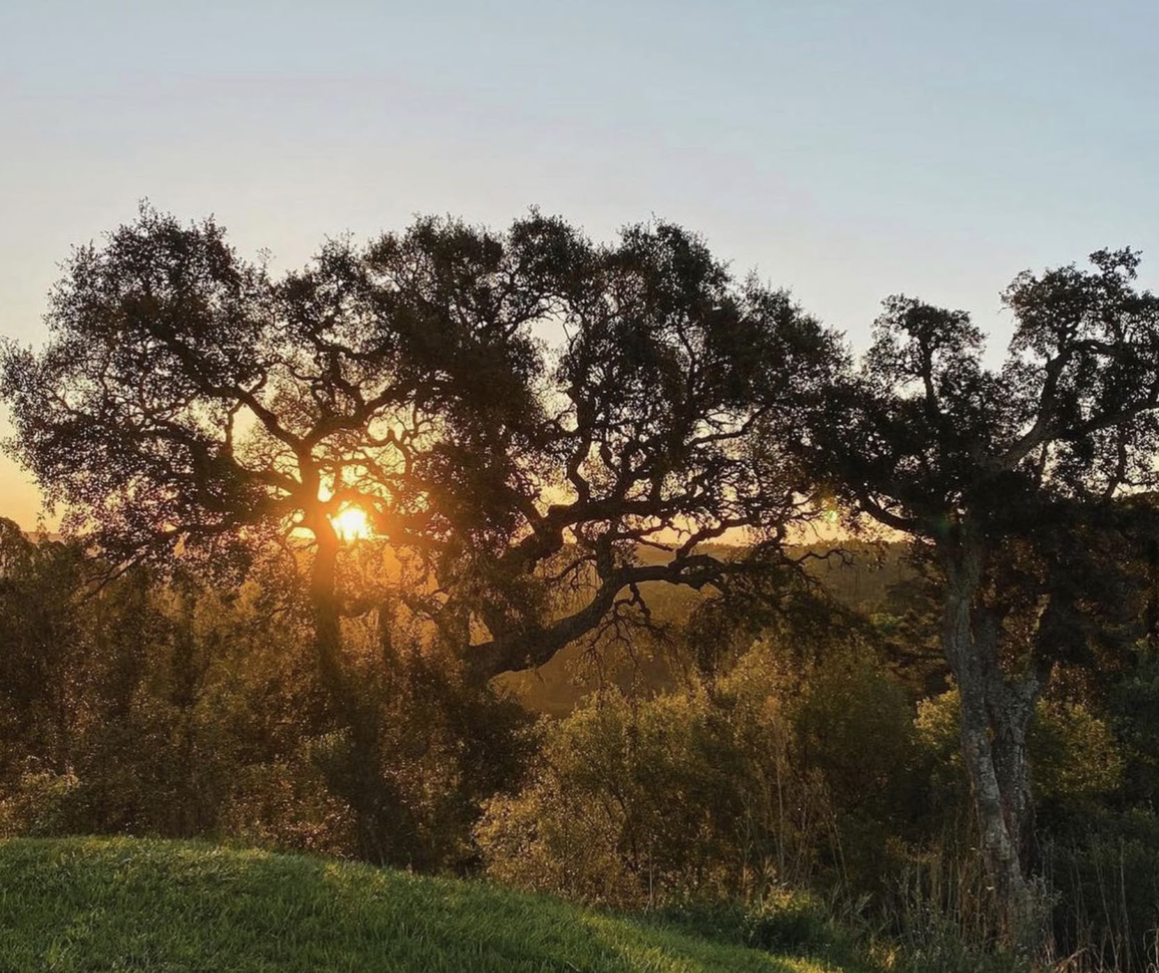 RECONNECT Yoga Retreat Portugal