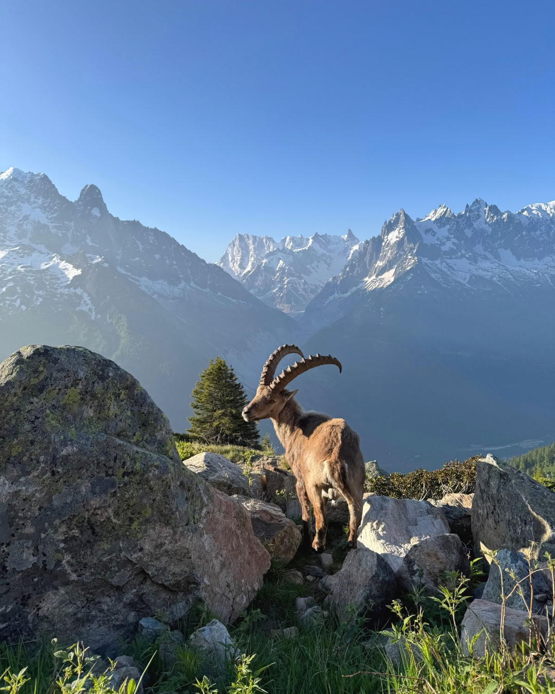 Atmen & Verbinden in Chamonix