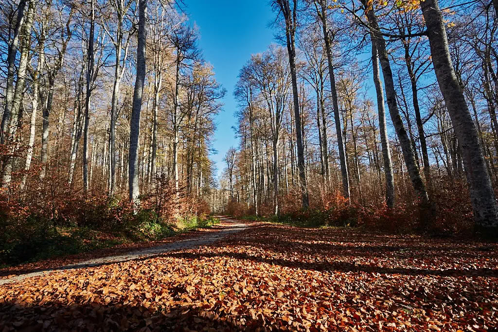 Meditation & Yoga Retreat: Die gemütliche November-Auszeit