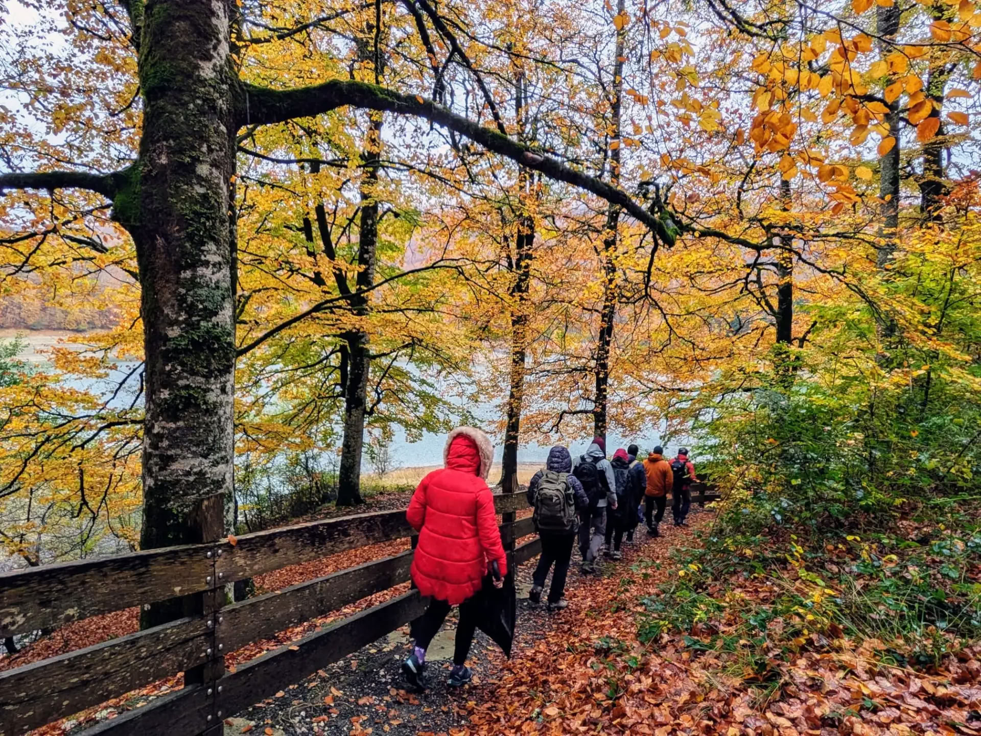 Waldbaden (Shinrin Yoku) & Yoga Retreat