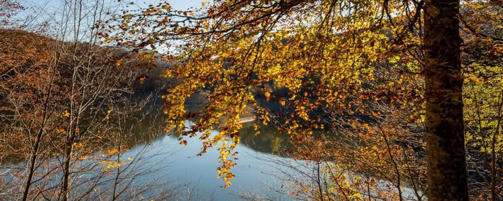 Yoga- und Meditationsrefugium: Ein behütendes Retreat im Irati-Wald