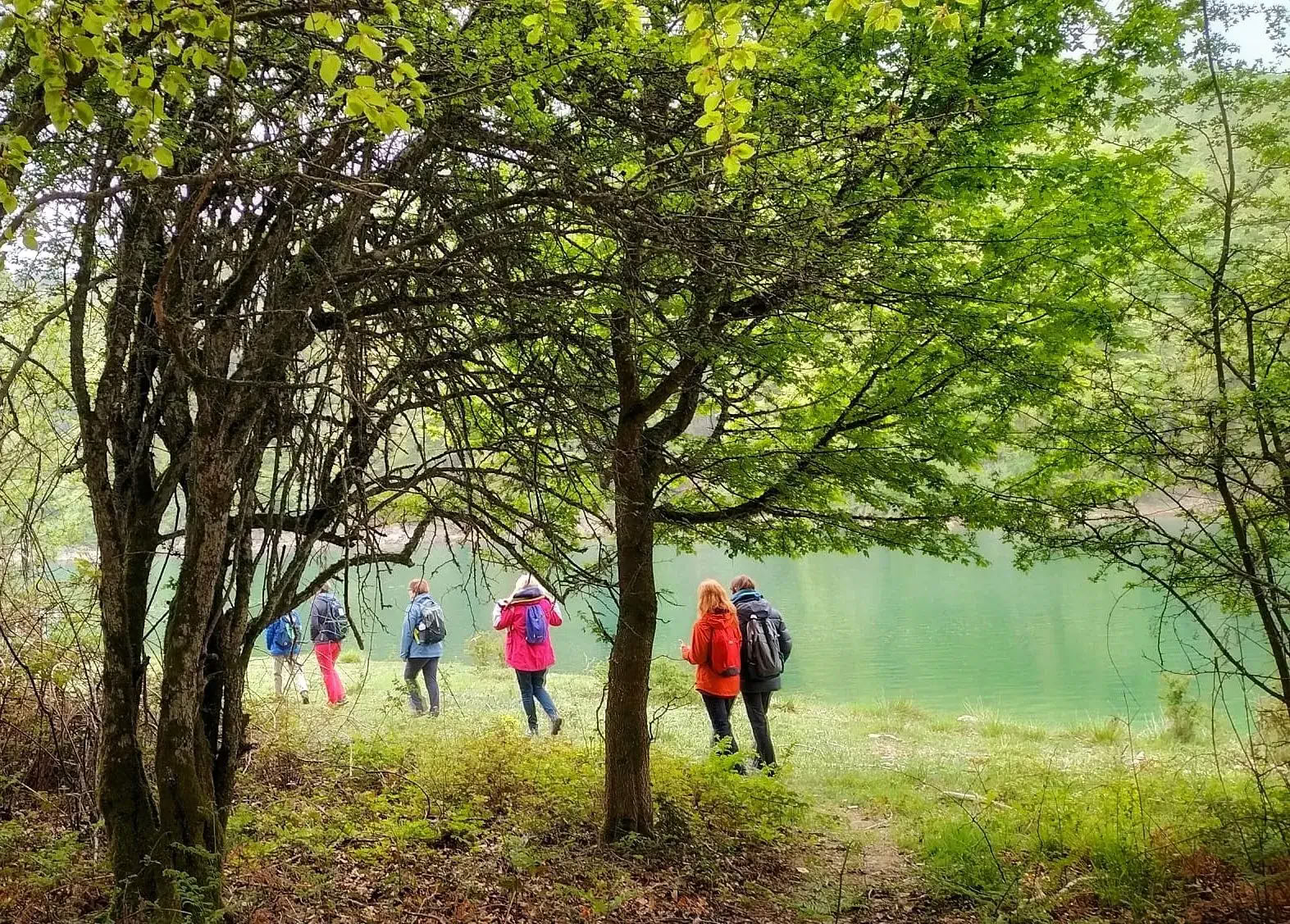 Yoga-Retreat im Oktober: Das goldene Walderlebnis
