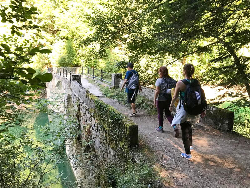 Yoga-Retreat zum Maifeiertag: Wald & Erneuerung