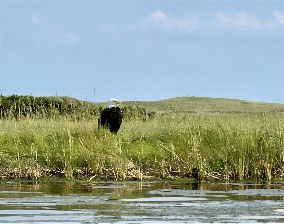 Fokussiere dich neu: Ein achtsames Fotografie-Retreat