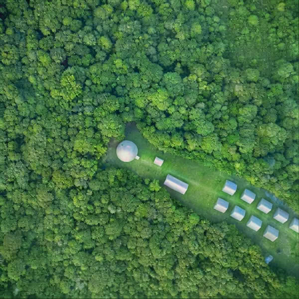 Ayahuasca-Immersion