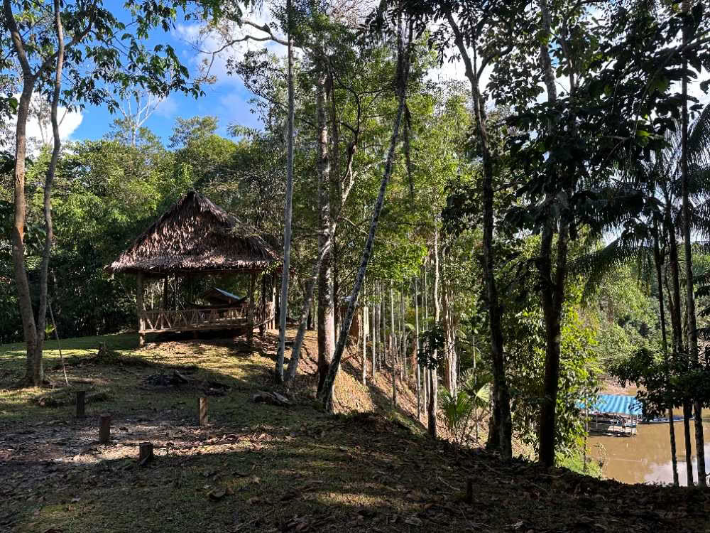 Traditionelle Ayahuasca-Zeremonie