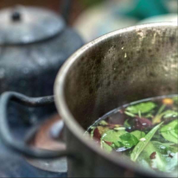 Ayahuasca-Retreat Iquitos, Peru