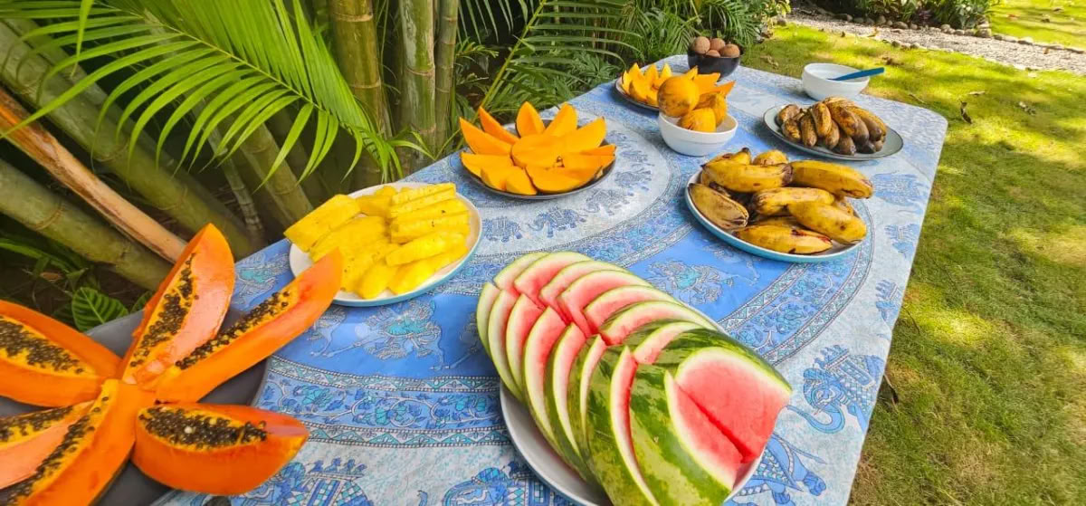 Rückkehr ins Paradies Wellness-Retreat