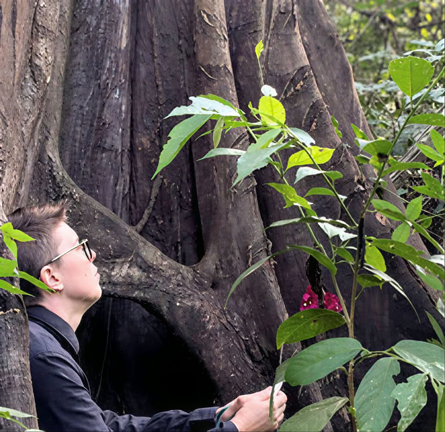 5-tägige Einführung in Ayahuasca und amazonische Pflanzenmedizin