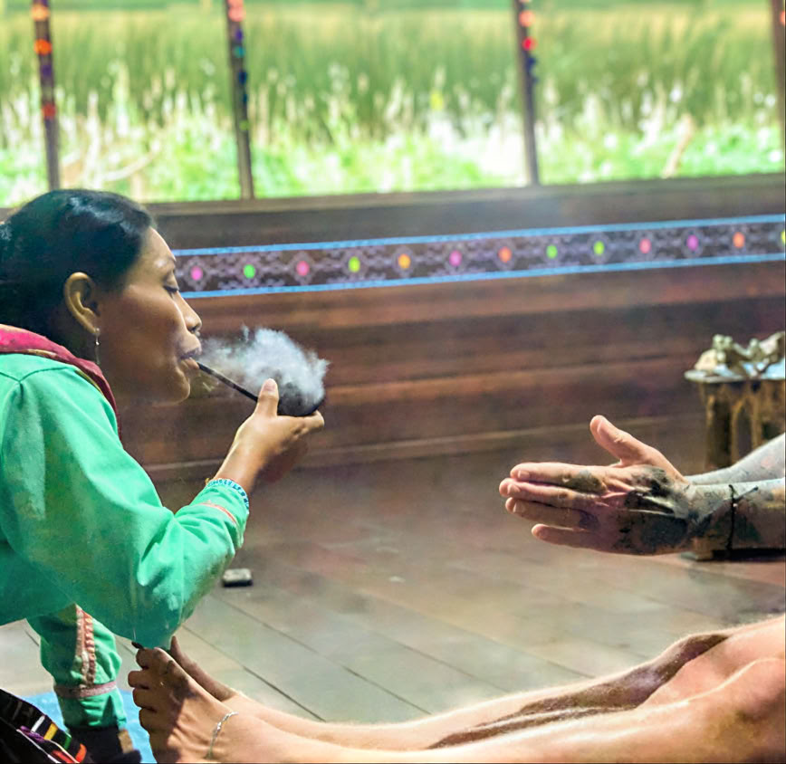 5-tägige Einführung in Ayahuasca und amazonische Pflanzenmedizin