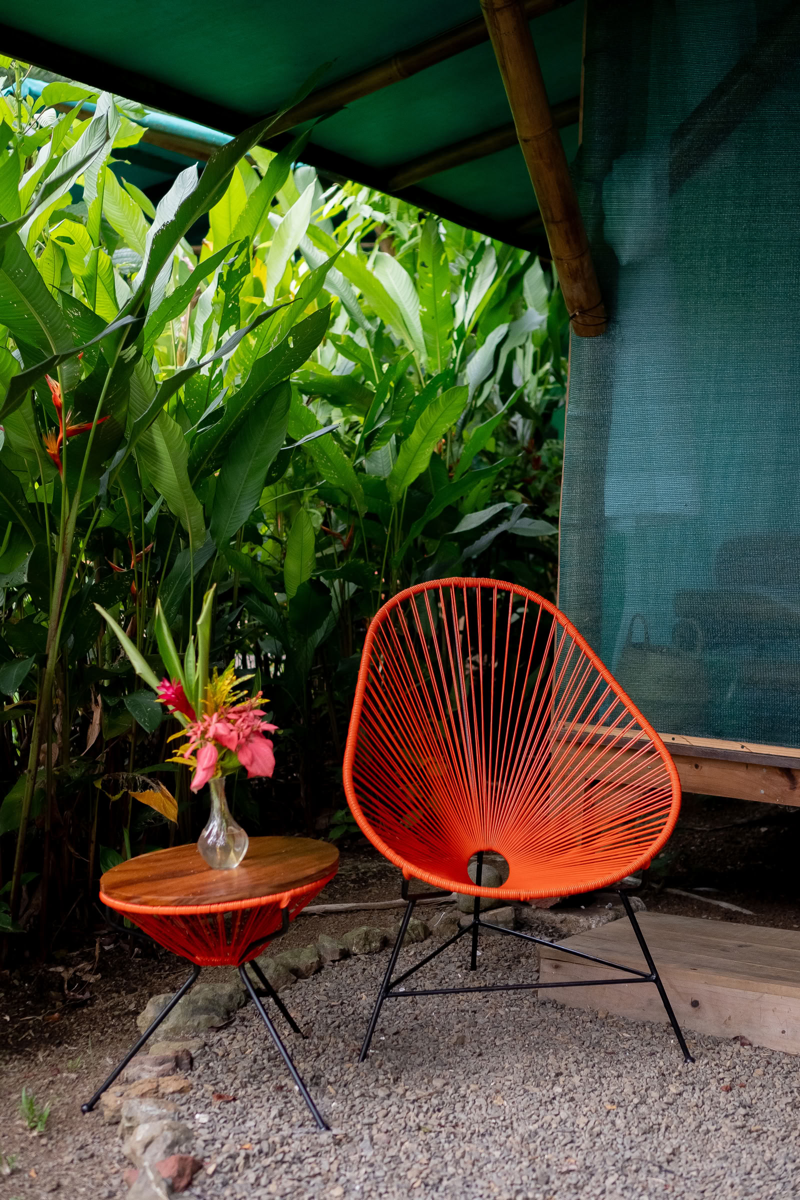 Ayahuasca-Workshops