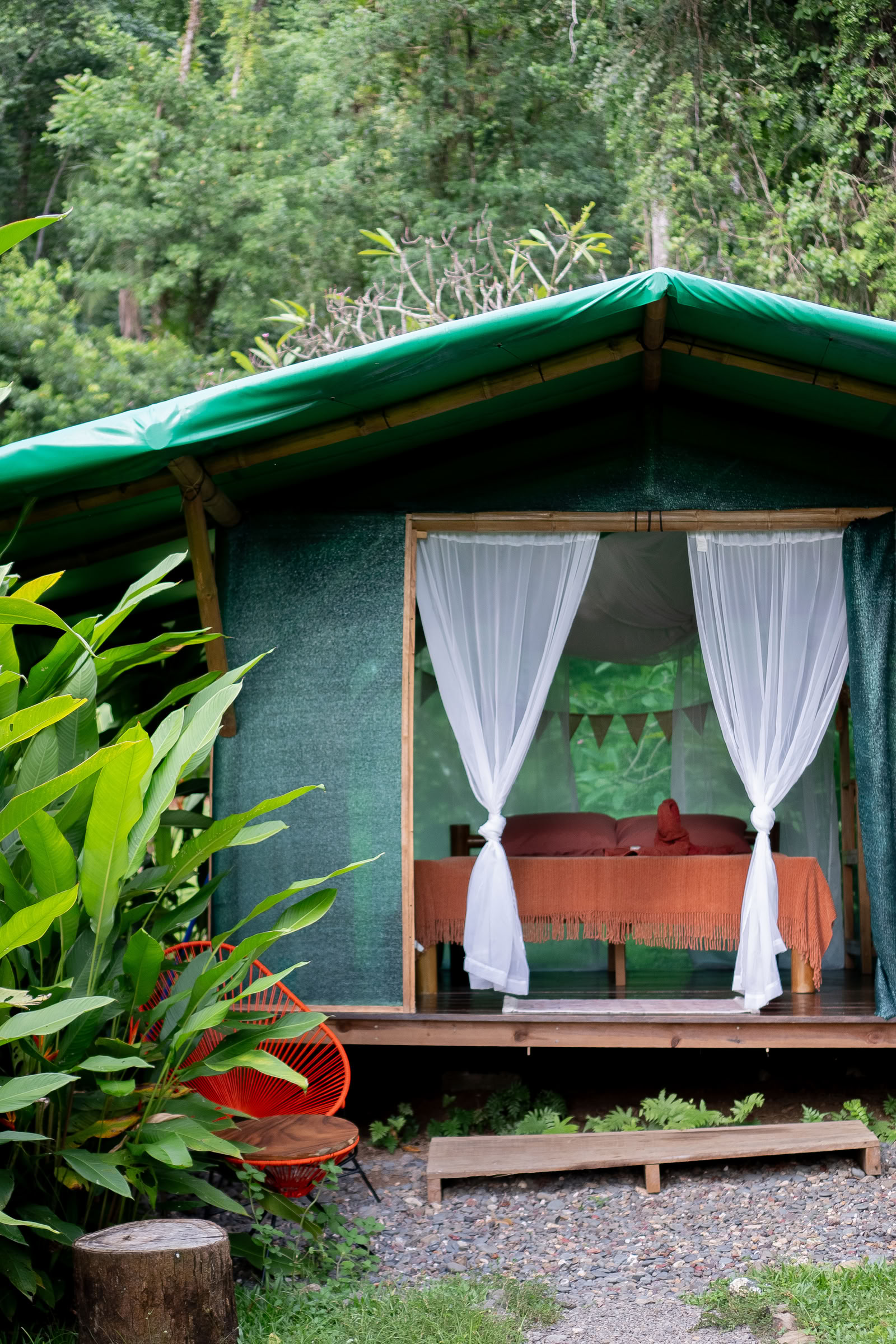 Ayahuasca-Workshops