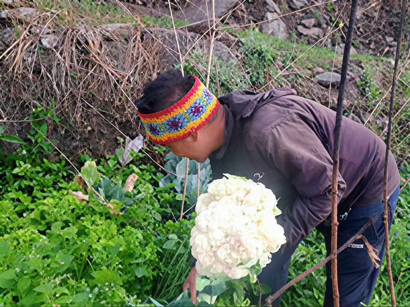 50-stündiger Sound-Healing-Workshop – 6 Tage / 5 Nächte