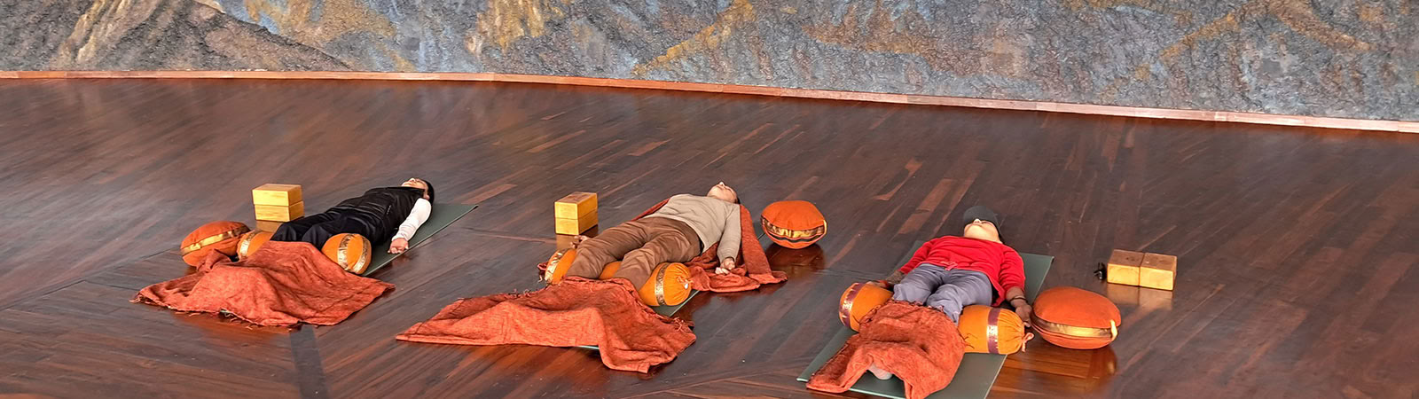 Yoga für das Leben-Programm