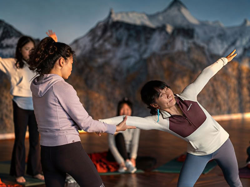 Yoga für das Leben-Programm