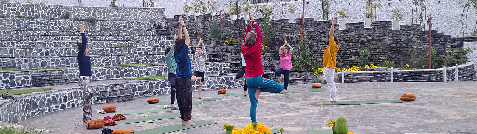 Ultimatives Detox-Programm