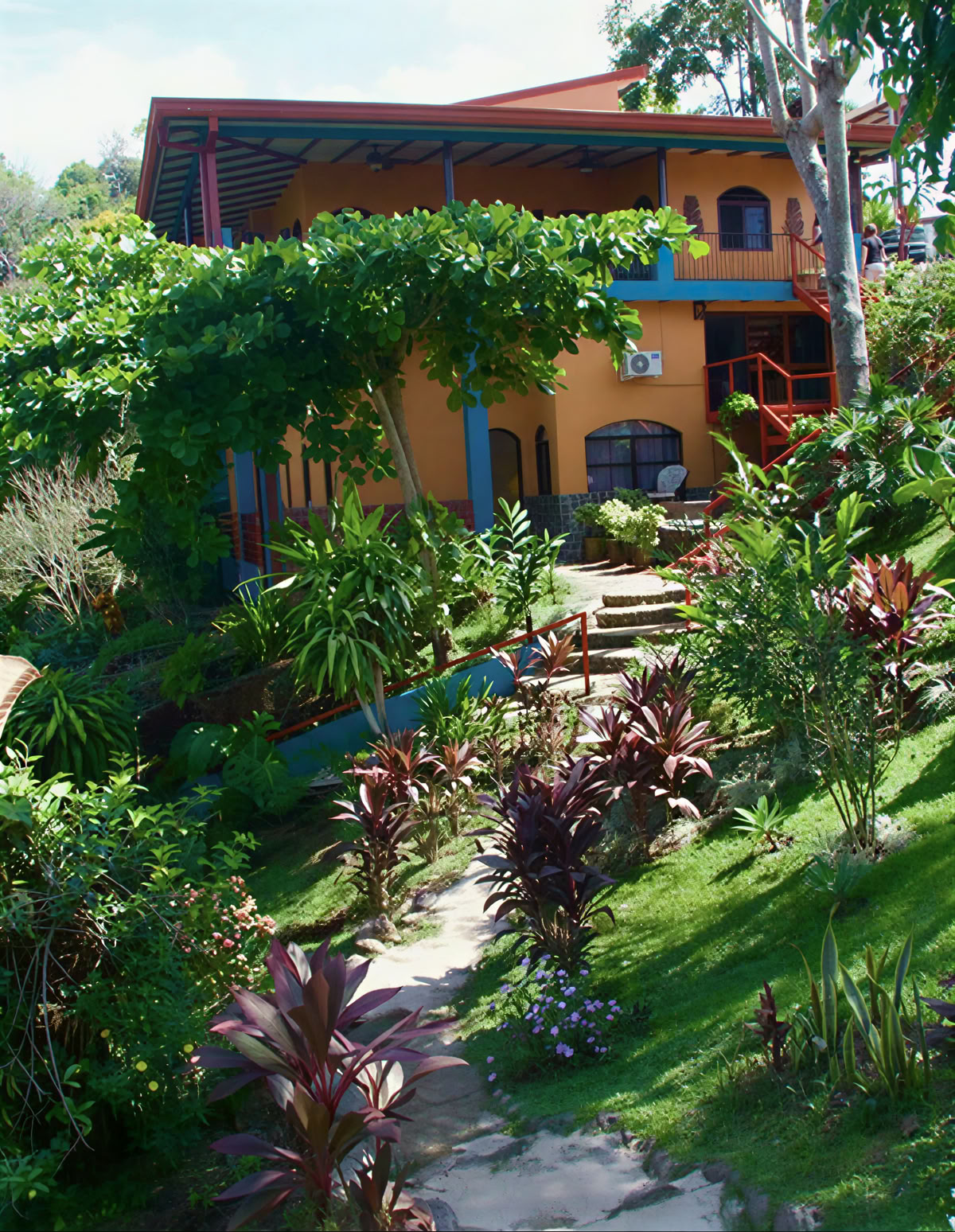 Spirituelles Ayahuasca-Retreat in Costa Rica