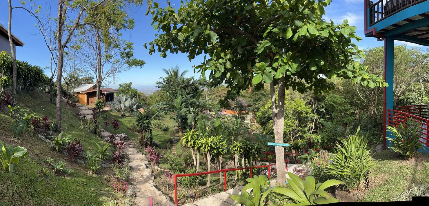 Spirituelles Ayahuasca-Retreat in Costa Rica