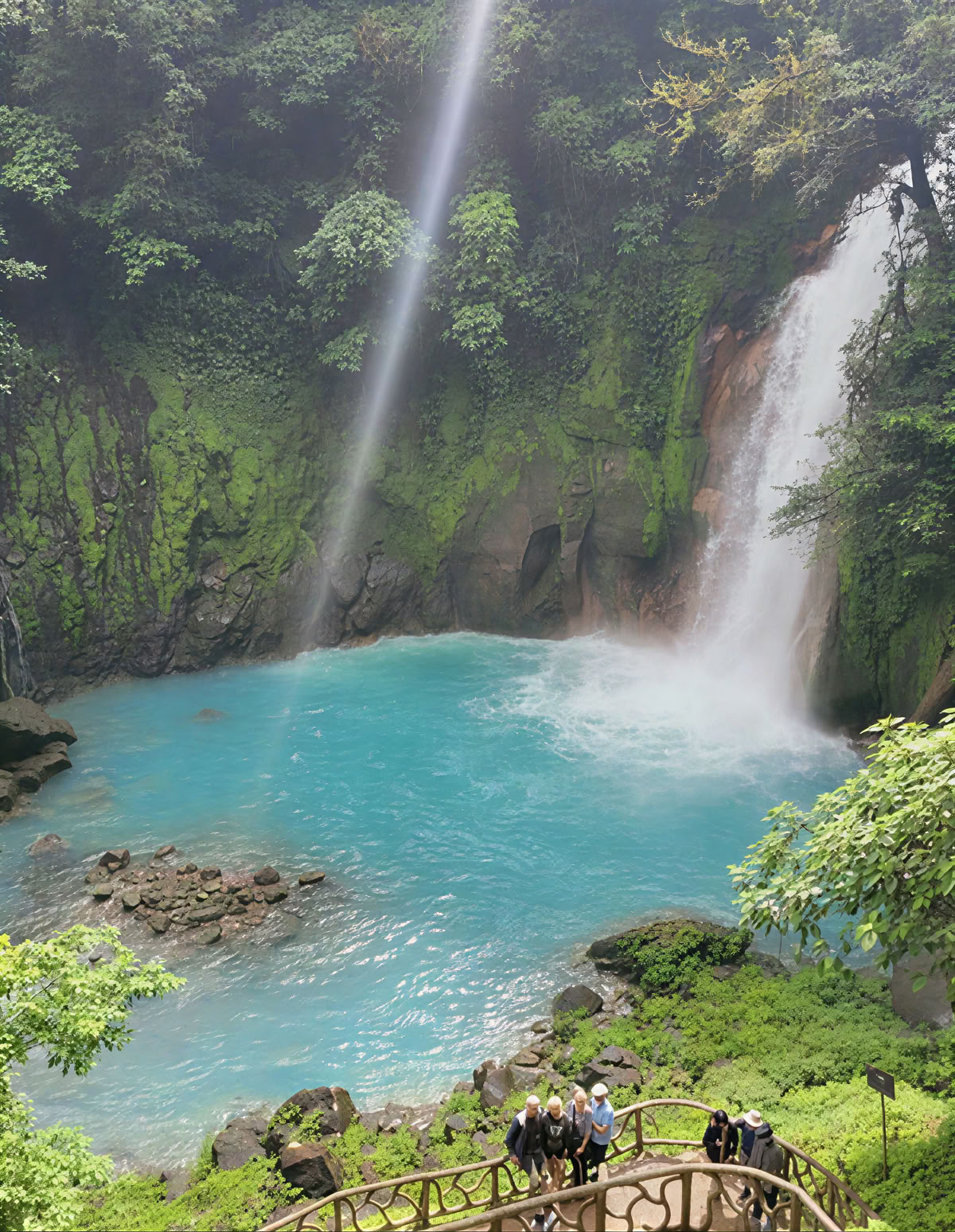 Spirituelles Ayahuasca-Retreat in Costa Rica