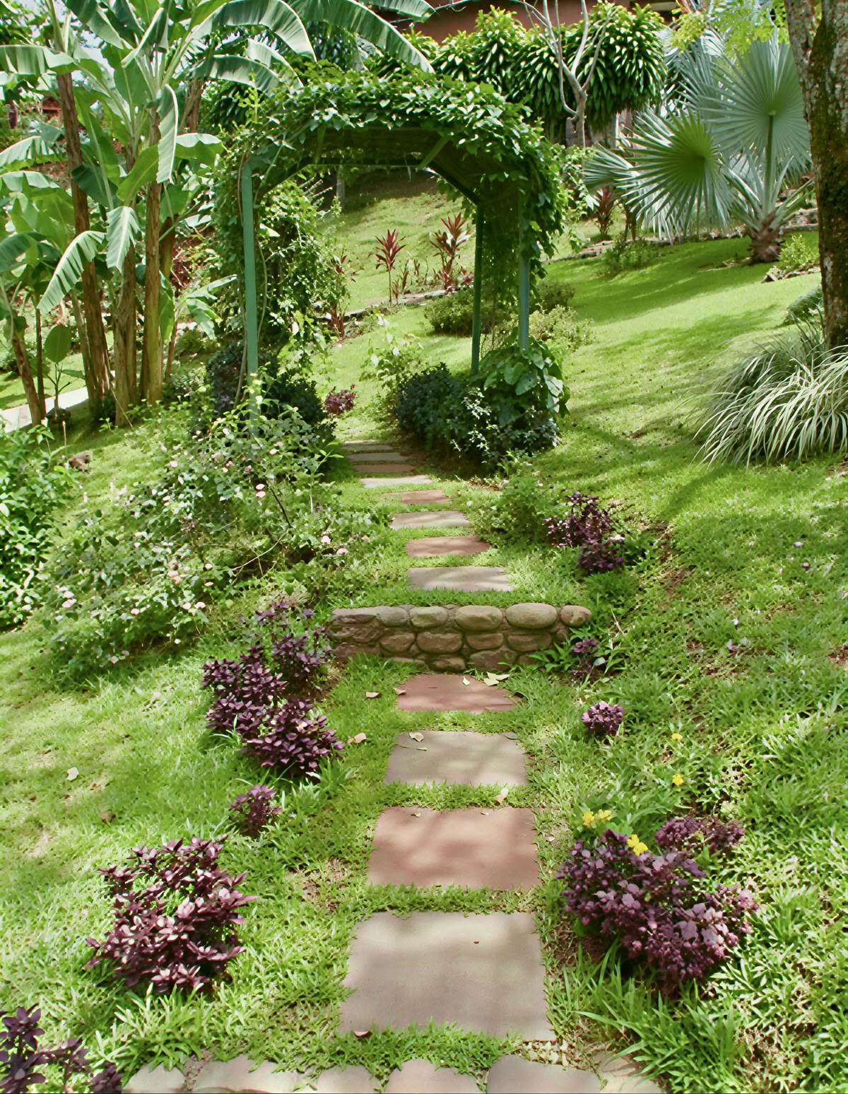 Spirituelles Ayahuasca-Retreat in Costa Rica