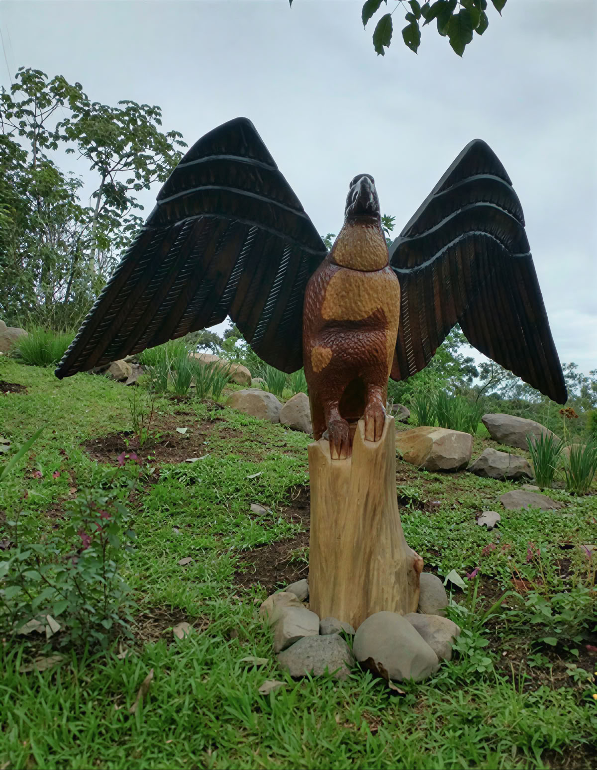 Spirituelles Ayahuasca-Retreat in Costa Rica