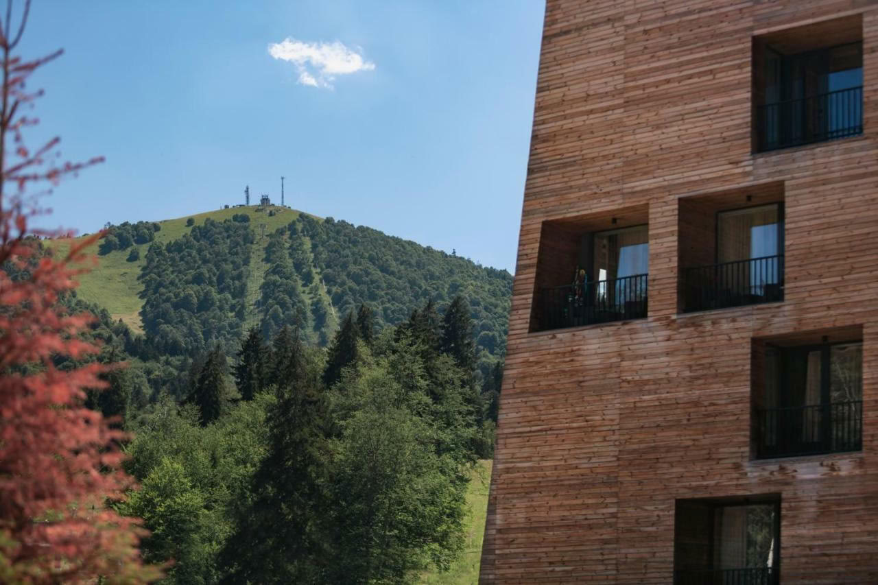 Geerdetes Yoga-Retreat am Wochenende