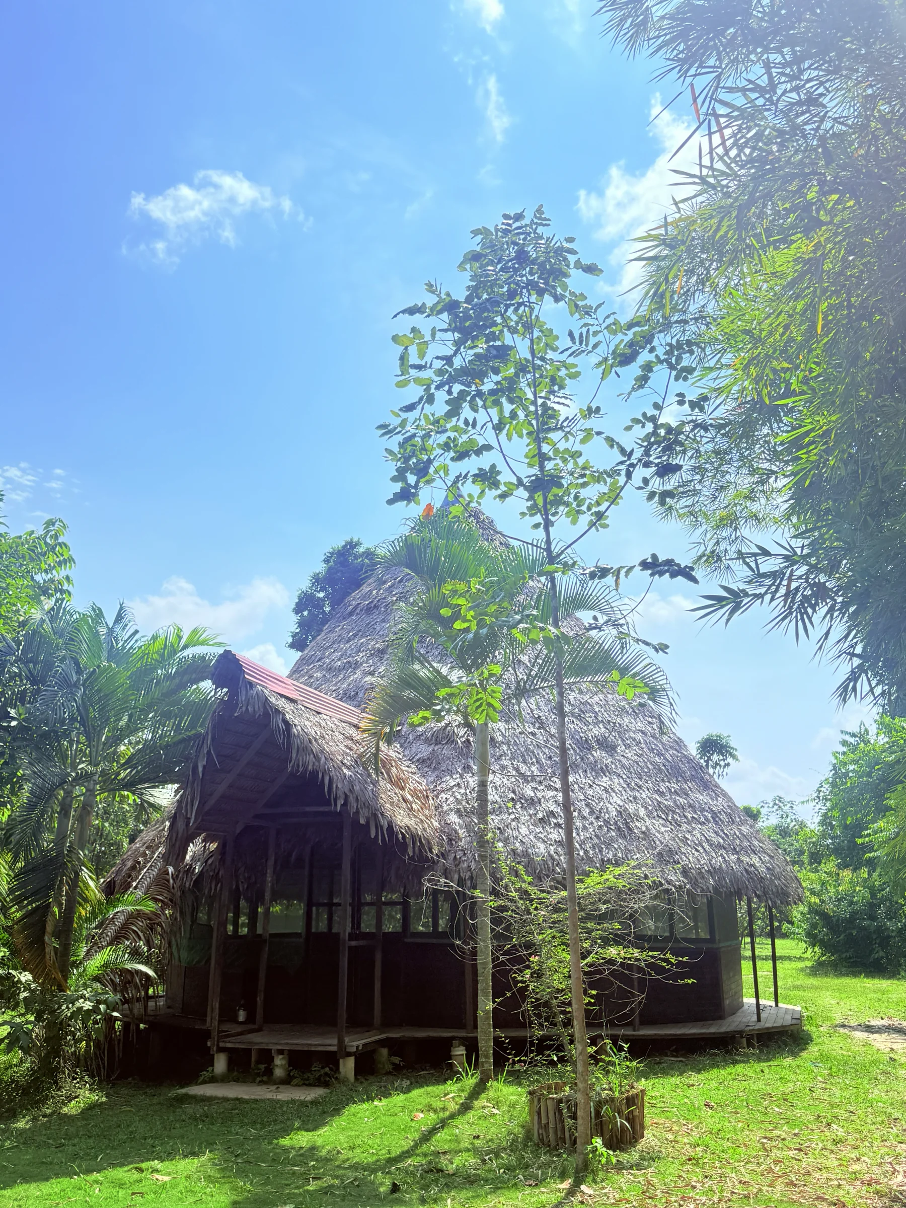 2 Wochen Ayahuasca-Retreat Peru