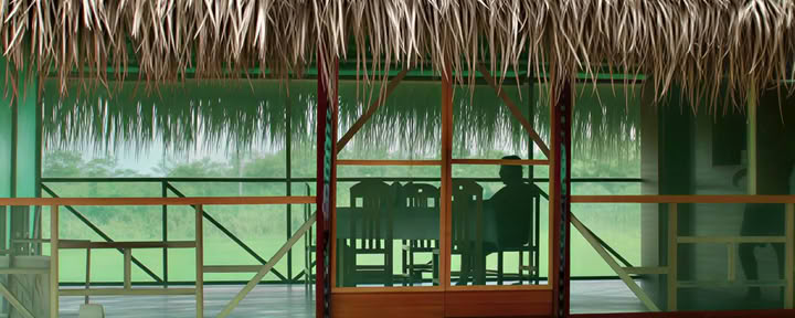 2 Wochen Ayahuasca-Retreat Peru