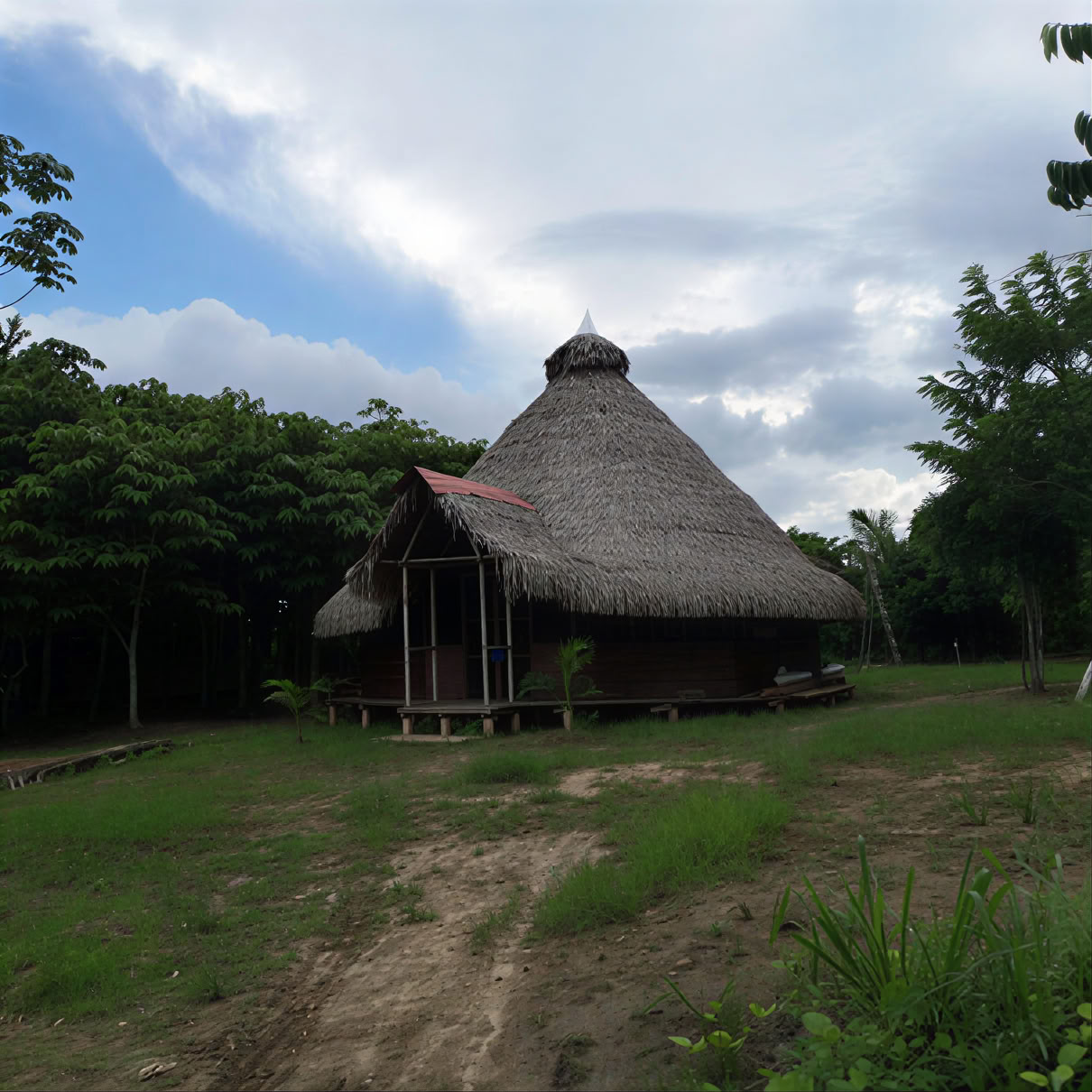 3-wöchiges Ayahuasca-Retreat in Peru