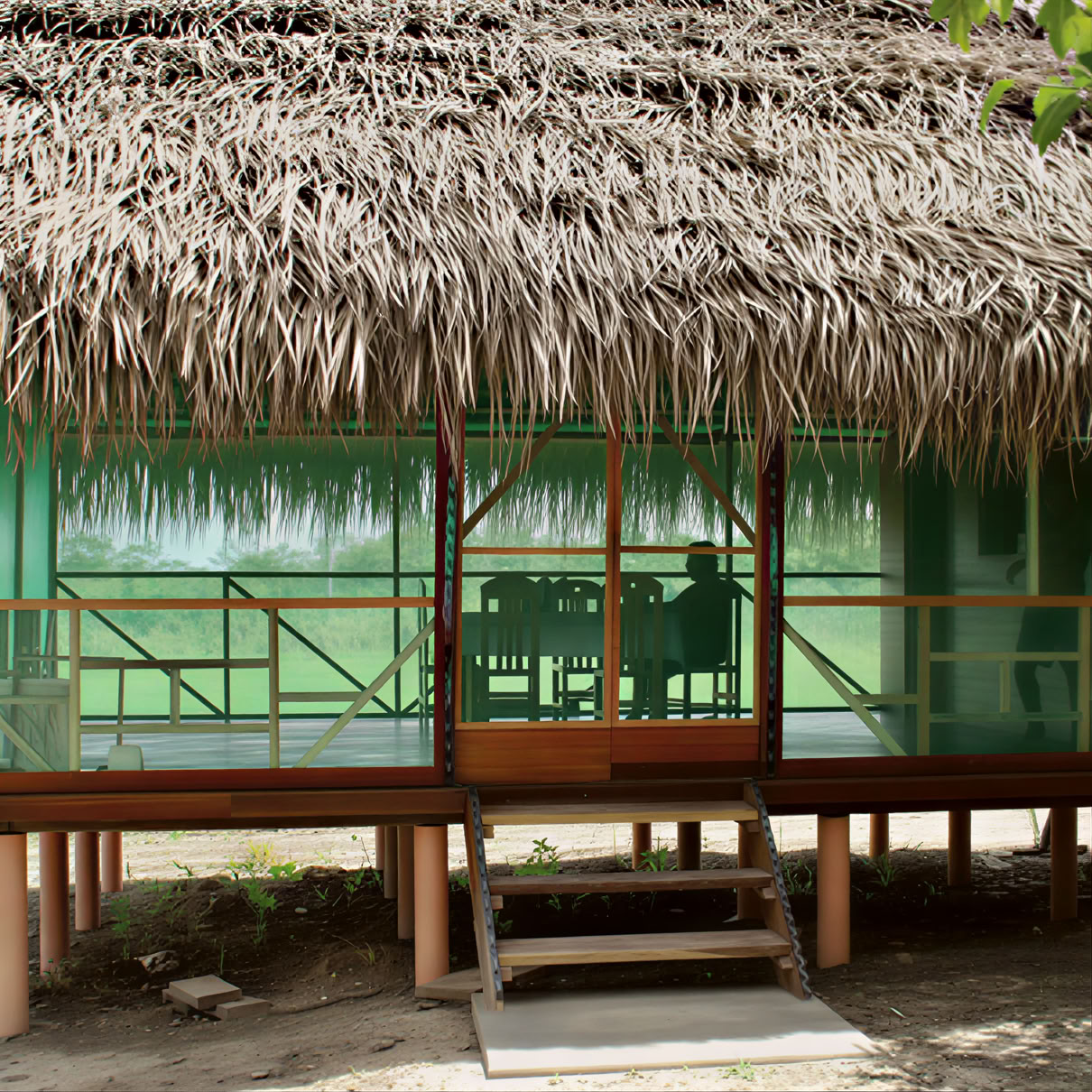 3-wöchiges Ayahuasca-Retreat in Peru