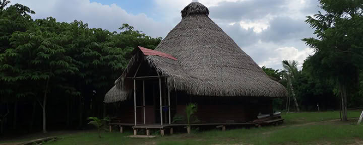 3-wöchiges Ayahuasca-Retreat in Peru