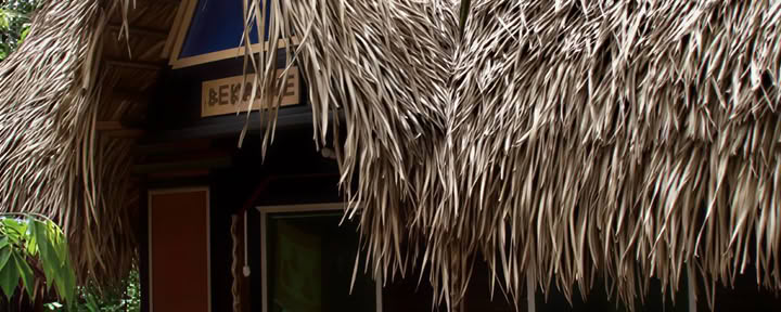 3-wöchige Ayahuasca-Transformation