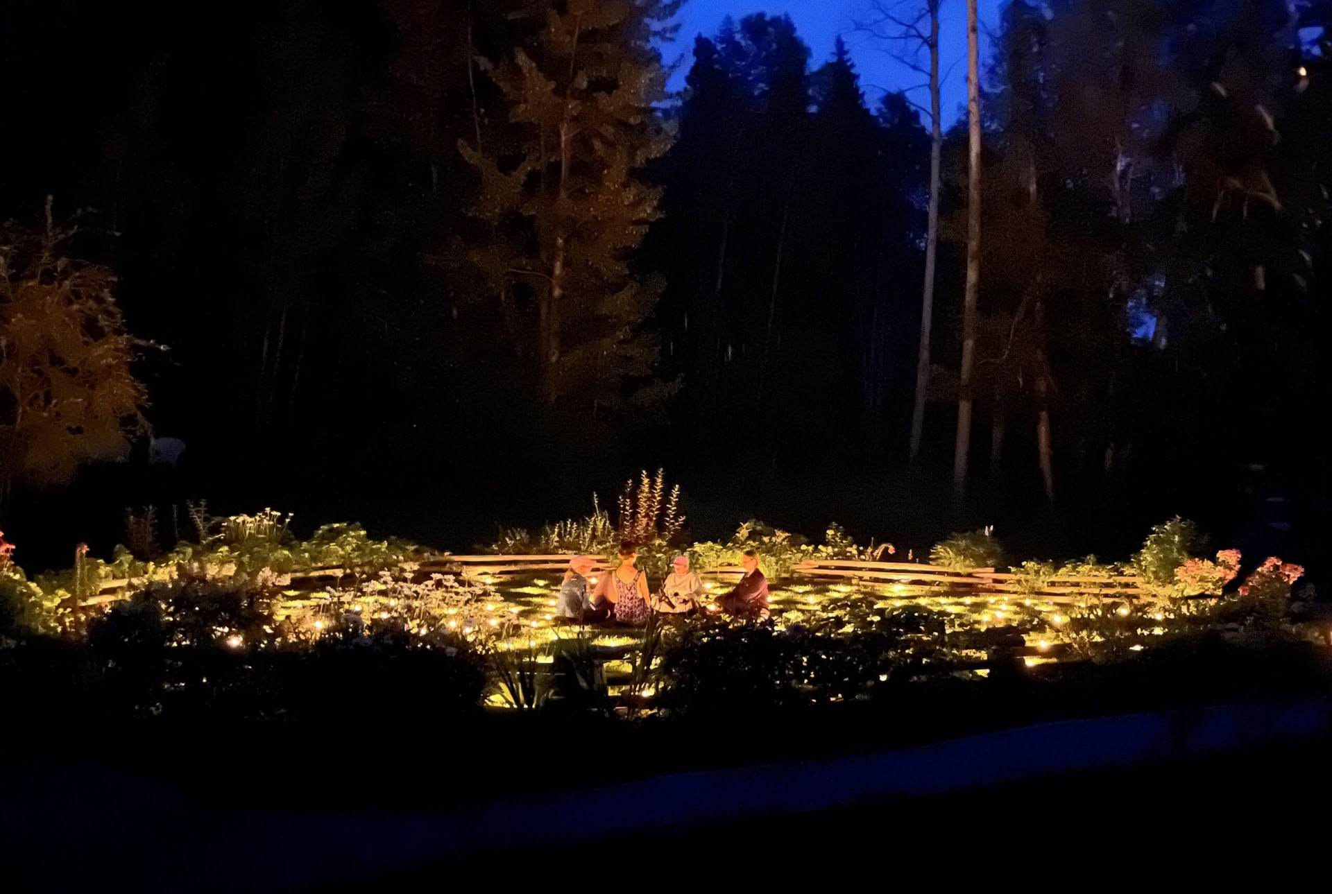 Erwache in der Wildnis