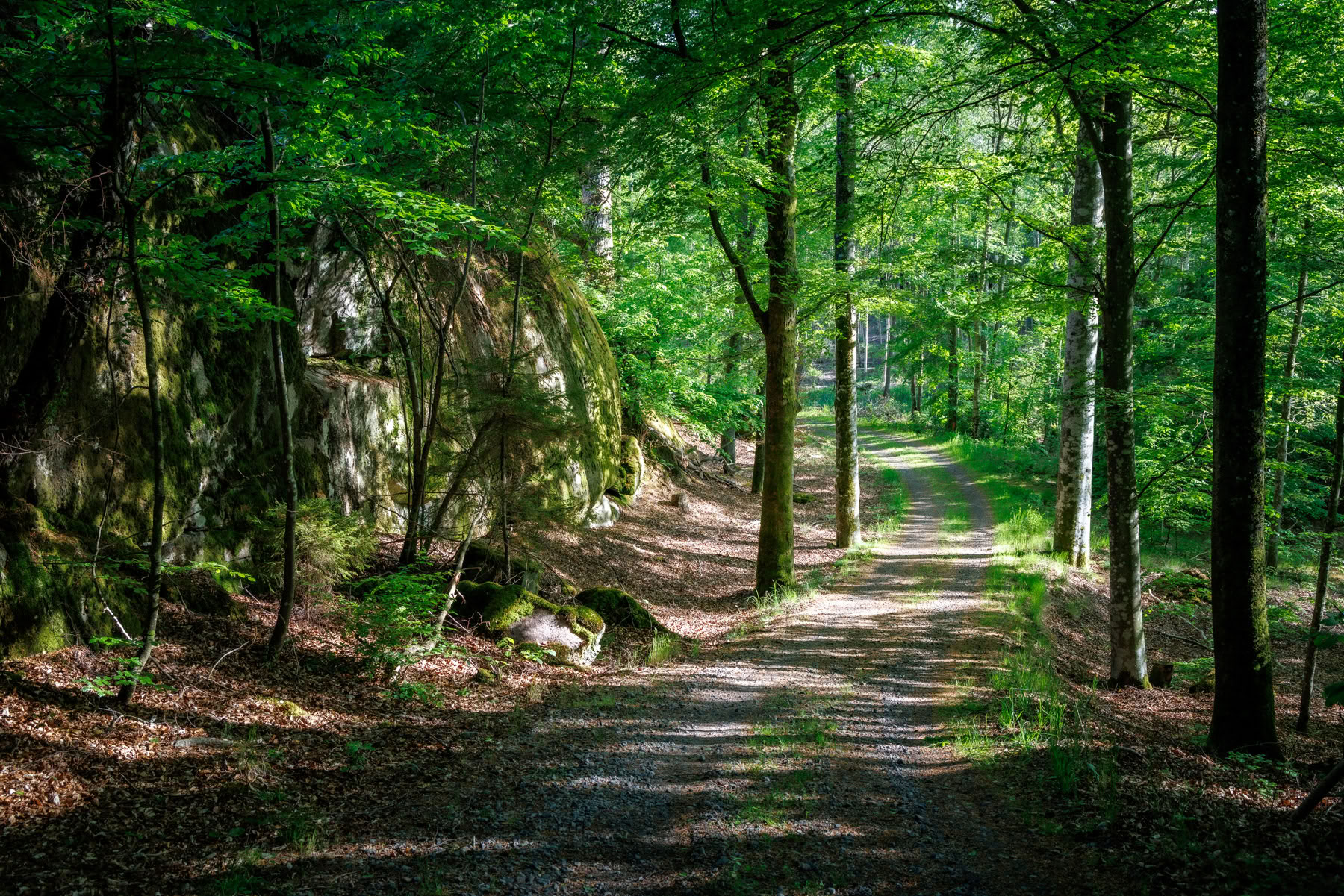 Solo-Retreat Basic