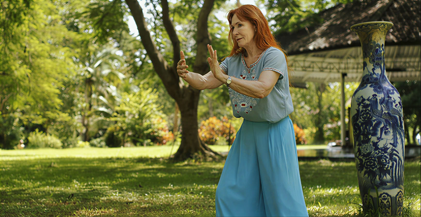 Innere Alchemie Qigong-Serie Tao Garden 2026