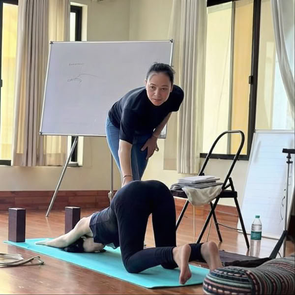 3-tägiger Yoga-Ausrichtungs-Workshop in Rishikesh