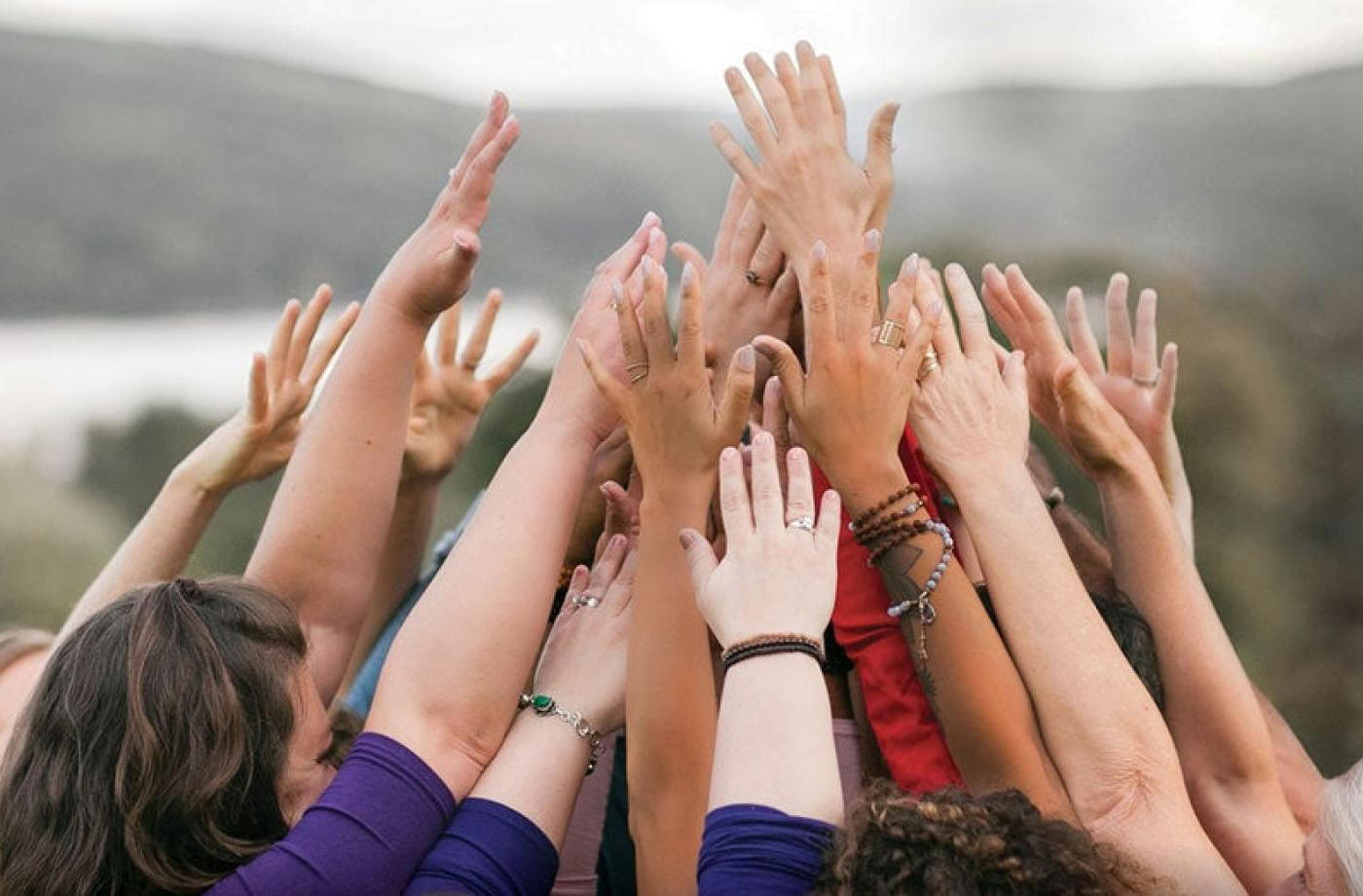 Heilung der Wurzel: Ein BIPOC-Sangha-Retreat