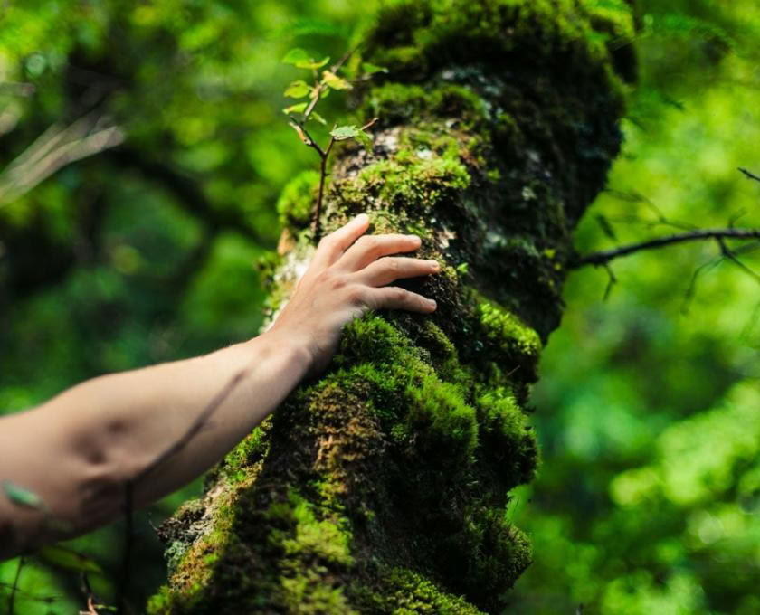 Das Land ist Medizin