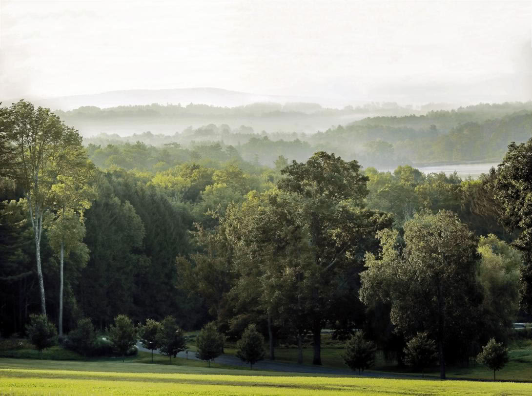 Achtsame Outdoor-Guide-Zertifizierung, Stufe 1 Waldgemeinschaft