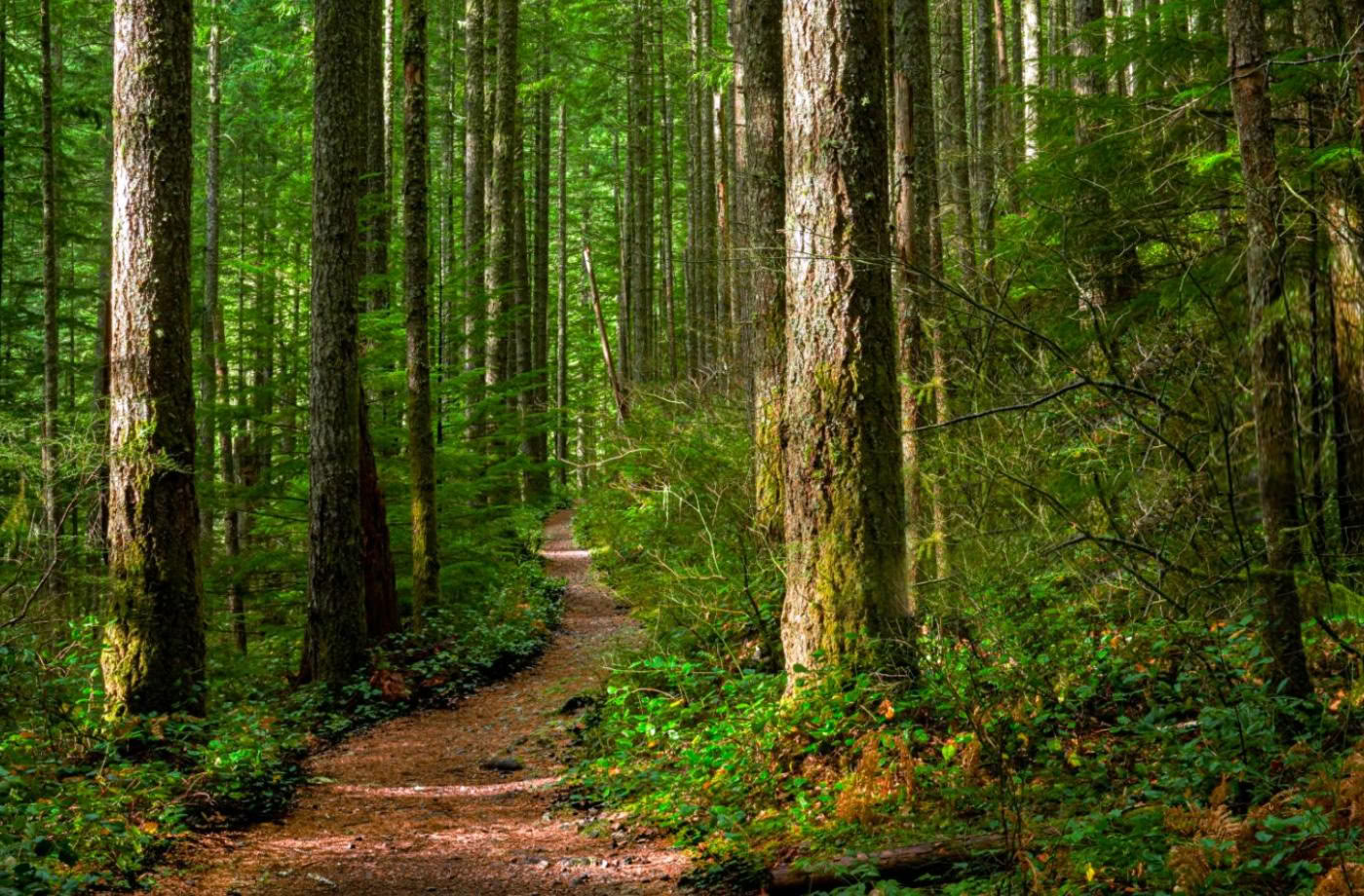 Achtsame Outdoor-Guide-Zertifizierung, Stufe 2: Einklang mit der Natur
