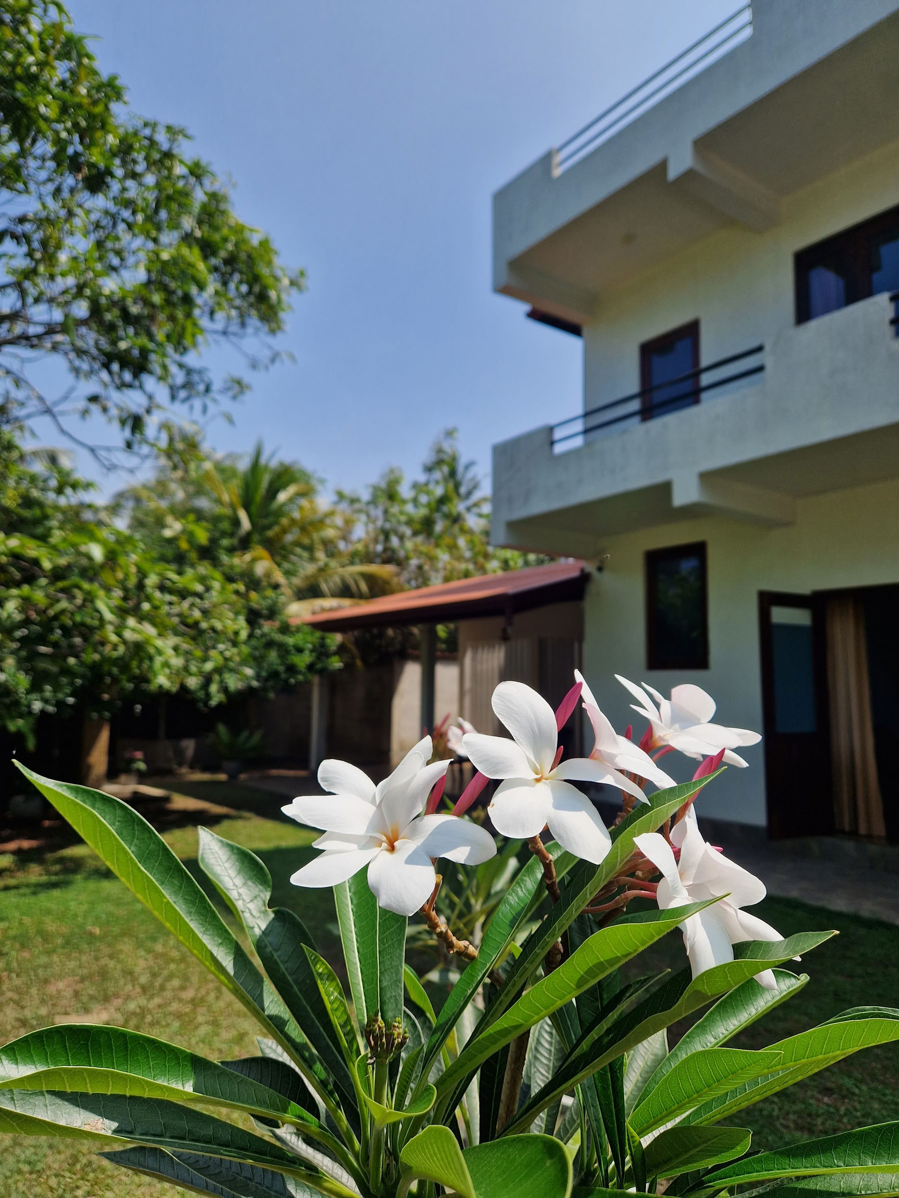 7-tägiges Nervensystem-Reset, Yoga- und Meditations-Retreat, Sri Lanka
