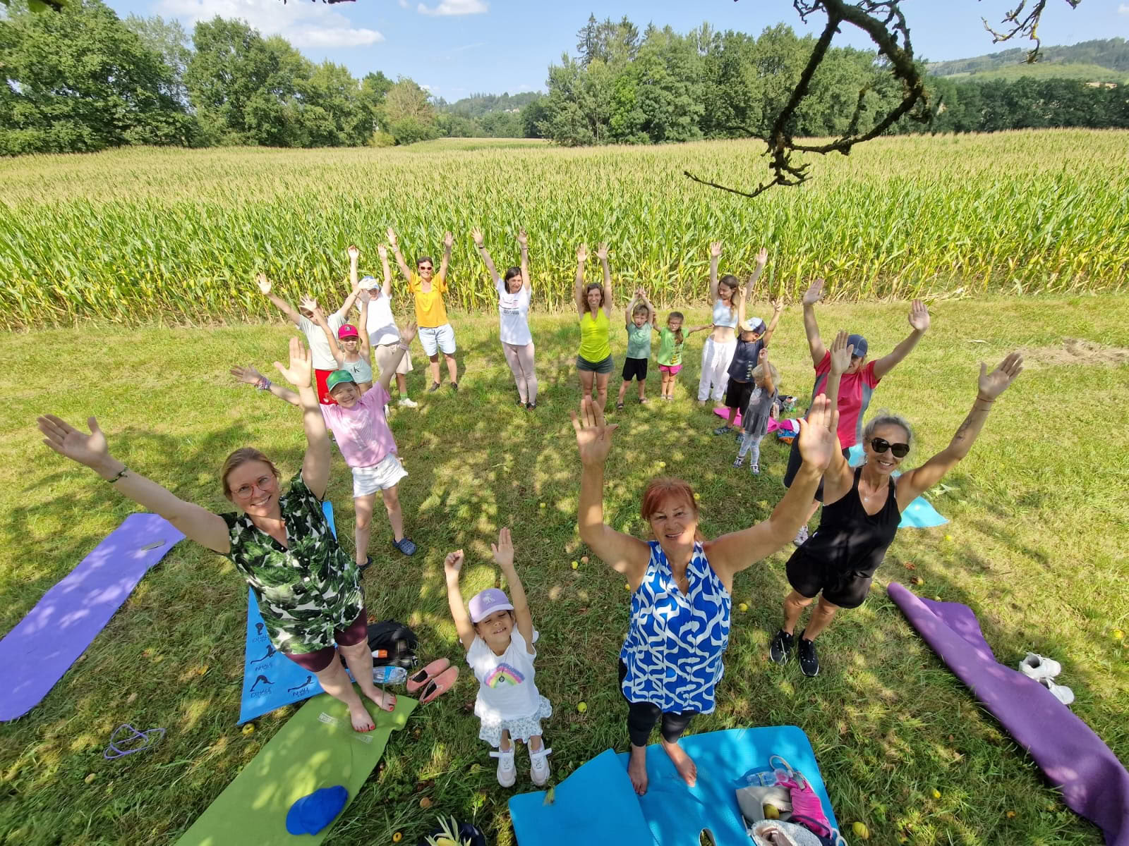 3-tägiges transformatives Wochenende mit dem Professor – Yoga-Intensivwochenende