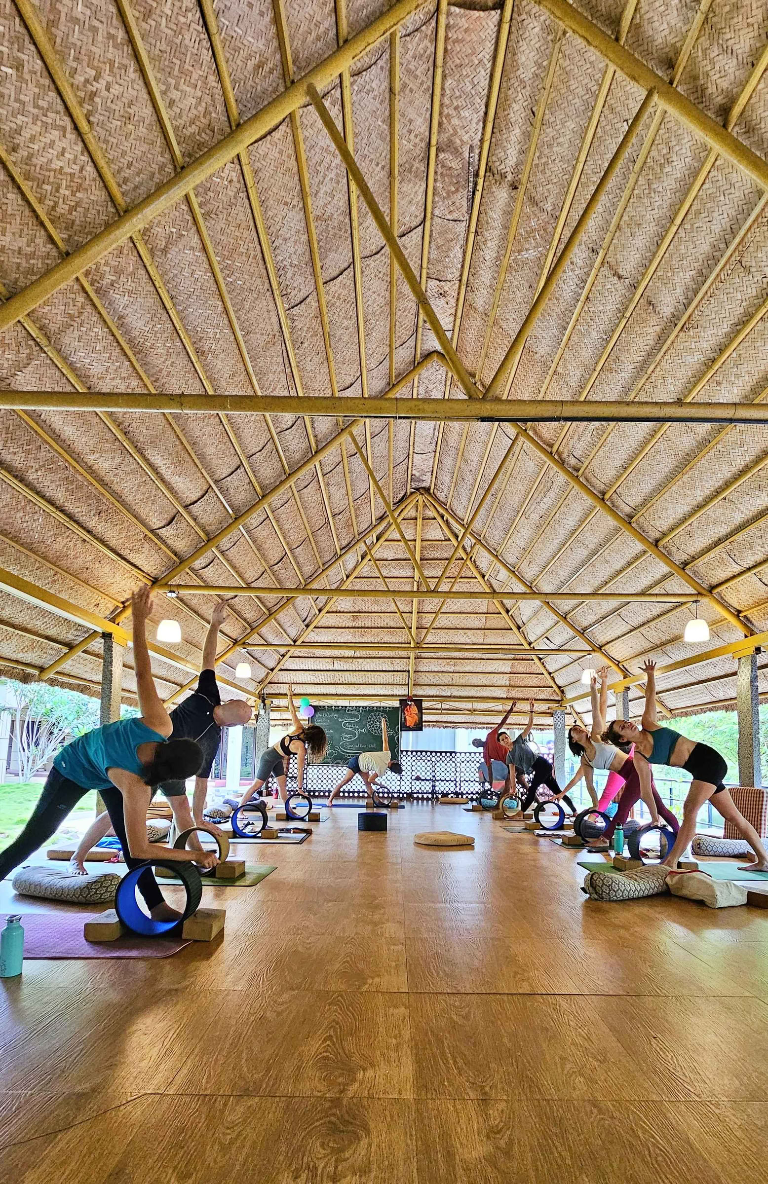 300-Stunden-Fortgeschrittenen-Yogalehrerausbildung - August 2026