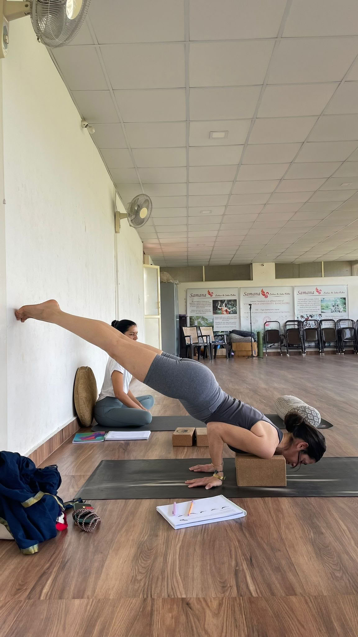 300-Stunden-Fortgeschrittenen-Yogalehrerausbildung - August 2026