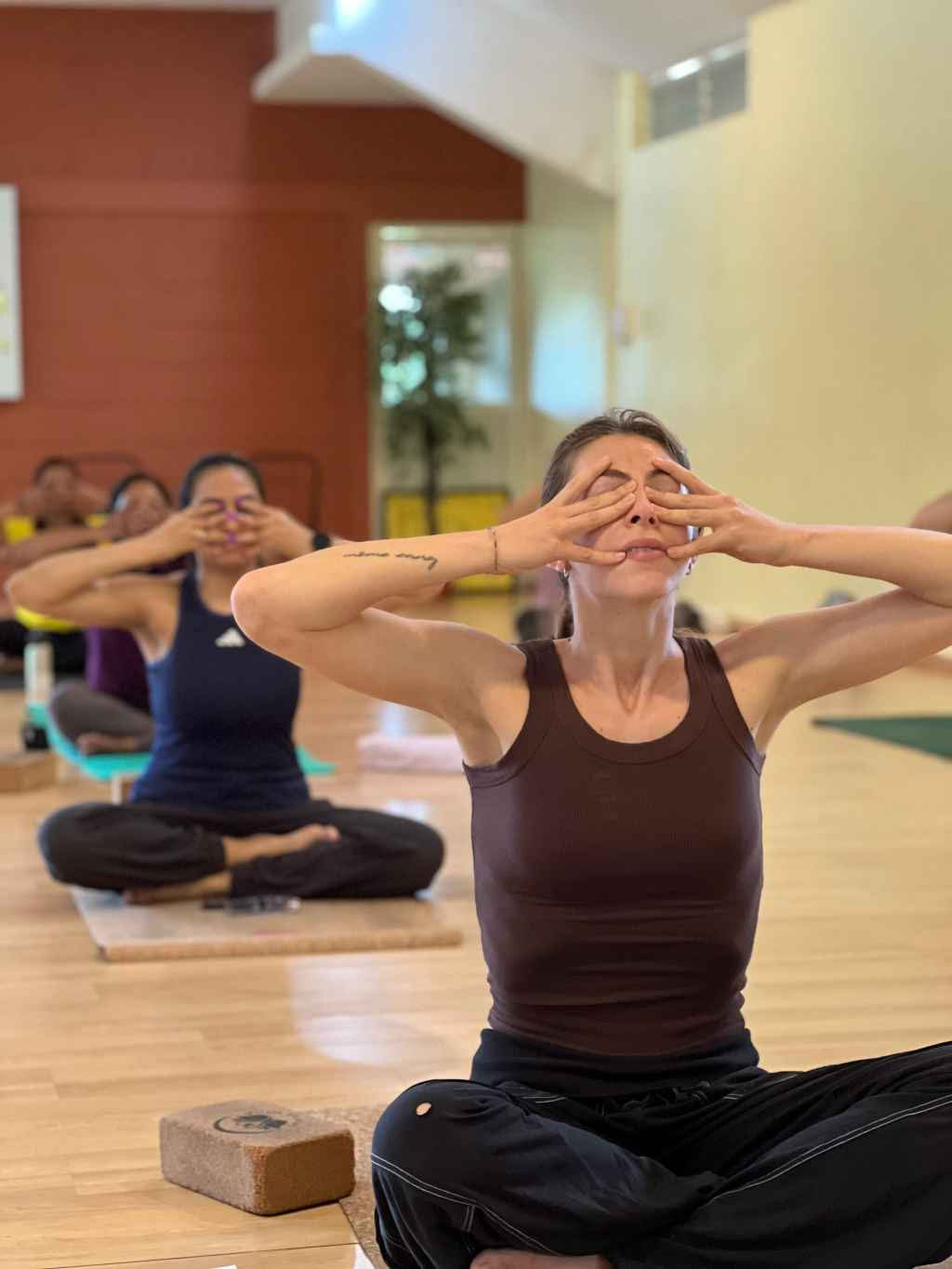 300-Stunden-Fortgeschrittenen-Yogalehrerausbildung - Januar 2027