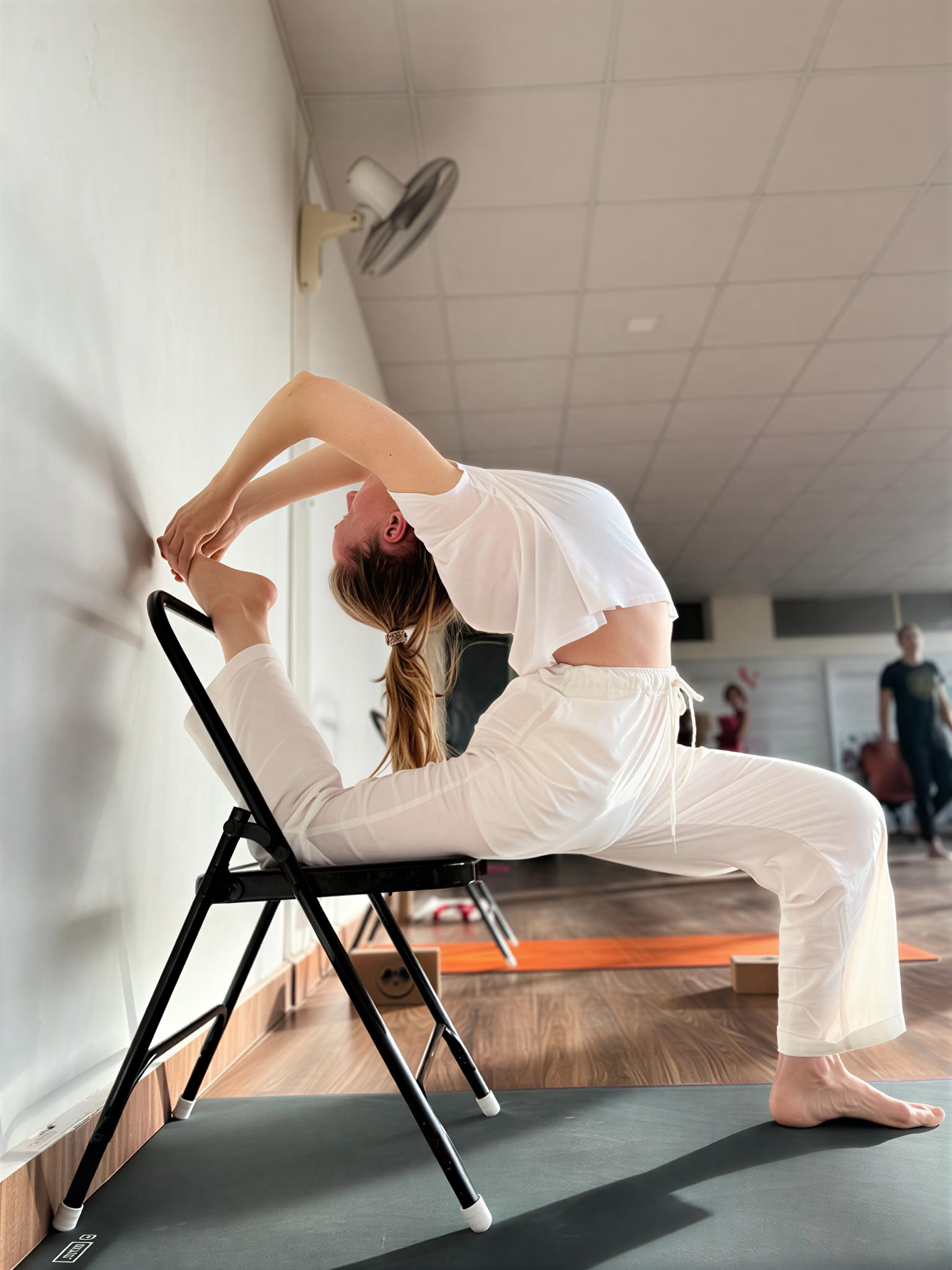 300-Stunden-Fortgeschrittenen-Yogalehrerausbildung - Januar 2027