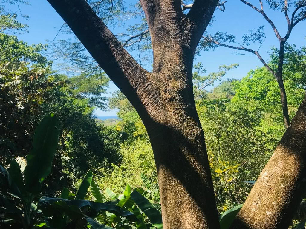 Entspannen, neu ausrichten und regenerieren in Costa Rica