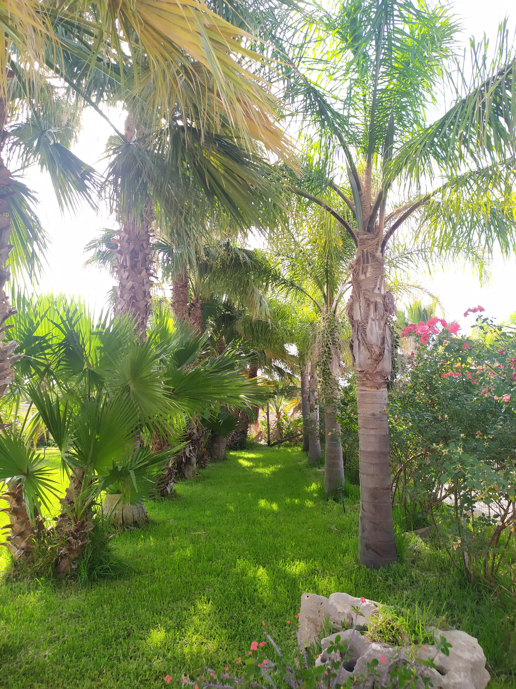 Seele nach Sizilien – Transformierendes Yoga- und Wellness-Retreat
