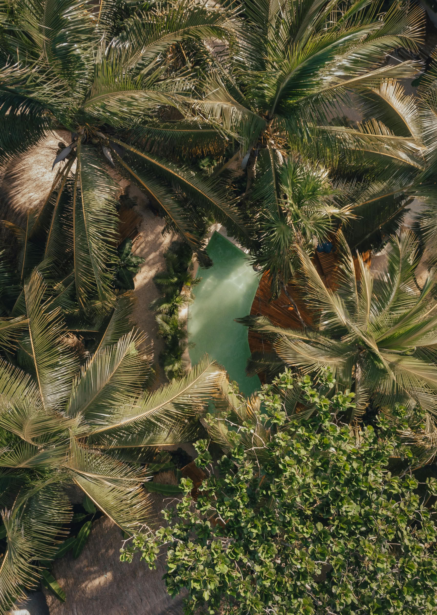 Ayurveda-Panchakarma- und Yoga-Wellness-Retreat