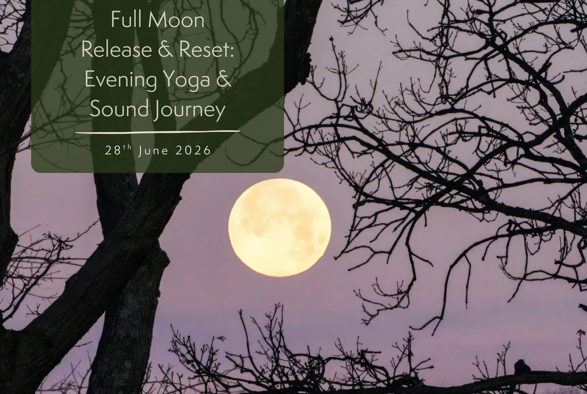 Vollmond-Loslassen & Neustart: Abendliches Yoga- und Klangreise-Erlebnis — The Yoga Yurt